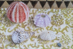 'Sea Treasures' oil 25x30cm SOLD